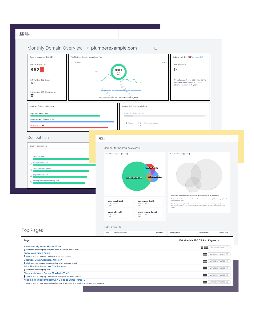 Skol example free audit