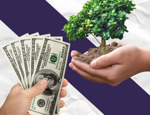 Paid Search Ads vs. Organic SEO: Which Is Right for Your Business?
